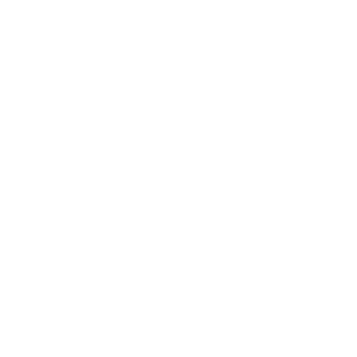 manifestation life logo WHITE png